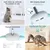 Collier LED rechargeable USB pour chaton Collier LED rechargeable USB pour chaton