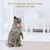 Collier LED rechargeable USB pour chaton Collier LED rechargeable USB pour chaton