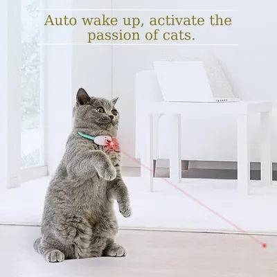 Collier LED rechargeable USB pour chaton Collier LED rechargeable USB pour chaton