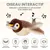 Coffret 4 jouets interactifs chat laser balle oiseau catnip Coffret 4 jouets interactifs chat laser balle oiseau catnip