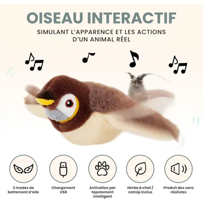 Coffret 4 jouets interactifs chat laser balle oiseau catnip Coffret 4 jouets interactifs chat laser balle oiseau catnip