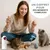Coffret 4 jouets interactifs chat laser balle oiseau catnip Coffret 4 jouets interactifs chat laser balle oiseau catnip