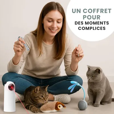 Coffret 4 jouets interactifs chat laser balle oiseau catnip Coffret 4 jouets interactifs chat laser balle oiseau catnip