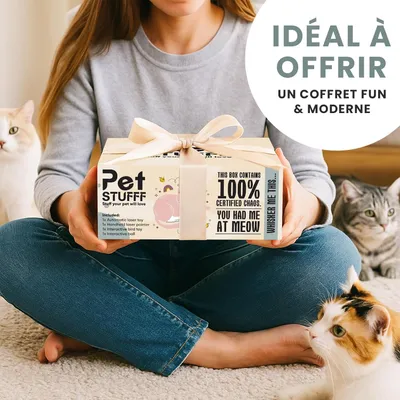 Coffret 4 jouets interactifs chat laser balle oiseau catnip Coffret 4 jouets interactifs chat laser balle oiseau catnip