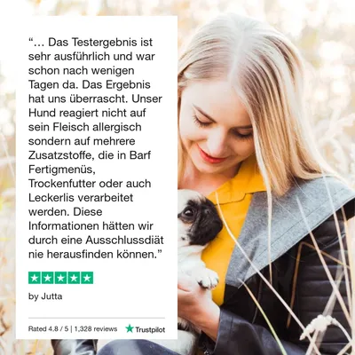 vetevo Allergietest Katze