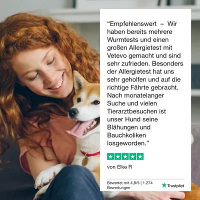 vetevo Allergietest Katze