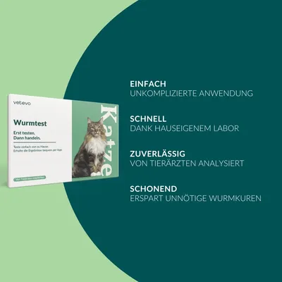 vetevo Wurmtest Katze vetevo Wurmtest Katze