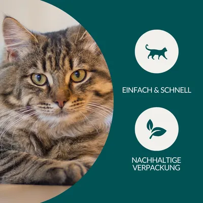 vetevo Wurmtest Katze vetevo Wurmtest Katze