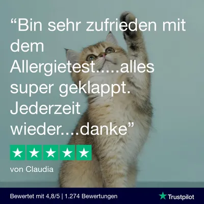 vetevo Allergietest Katze