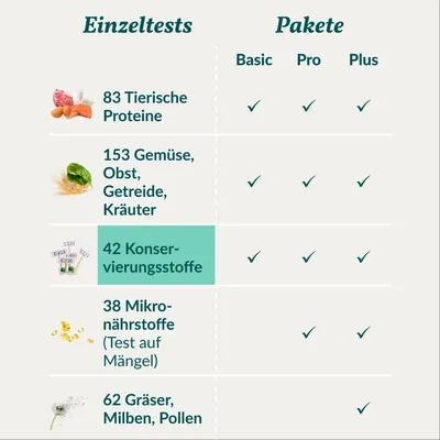 vetevo Allergietest Katze