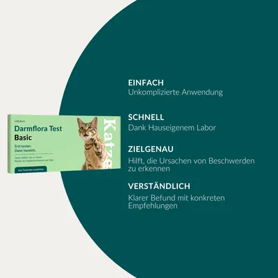 vetevo Darmflora Test Katze
