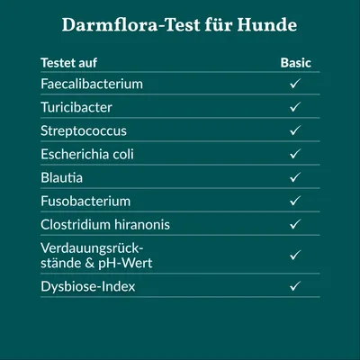 vetevo Darmflora Test Katze