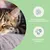 vetevo Darmflora Test Katze