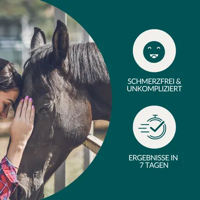 vetevo Allergietest Pferd