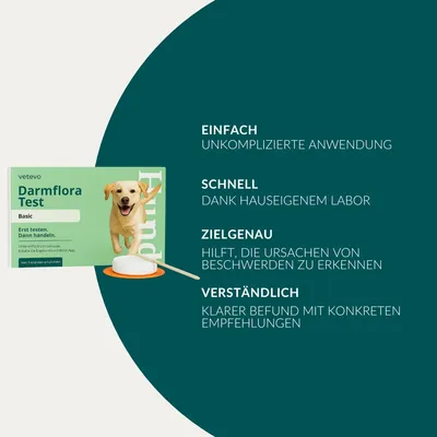 Darmflora Test Hund