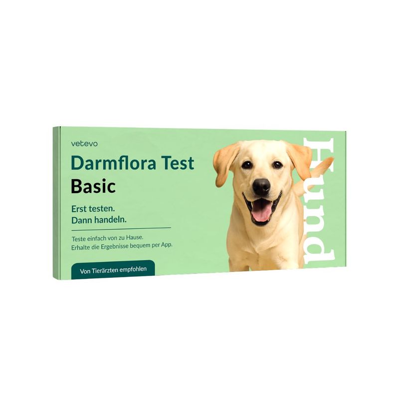 Darmflora Test Hund