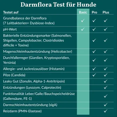 Darmflora Test Basic Hund Darmflora Test Basic Hund