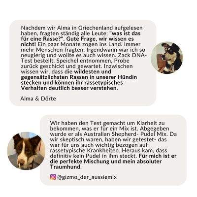 vetevo DNA Test Hund