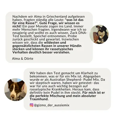 vetevo DNA Test Hund vetevo DNA Test Hund