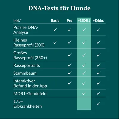 vetevo DNA Test Hund vetevo DNA Test Hund
