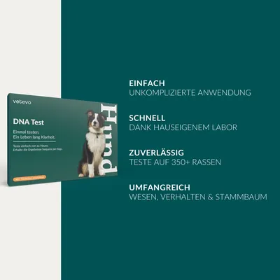 vetevo DNA Test Hund vetevo DNA Test Hund