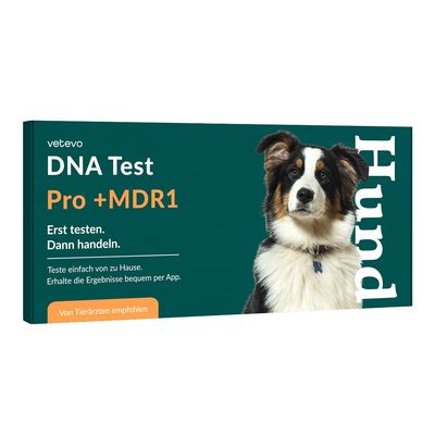 vetevo DNA Test Hund