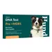 vetevo DNA Test Hund