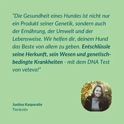 vetevo DNA Test Hund vetevo DNA Test Hund