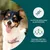 vetevo DNA Test Hund vetevo DNA Test Hund