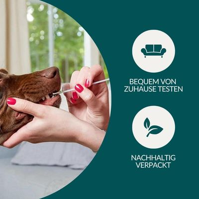 vetevo Allergietest Hund