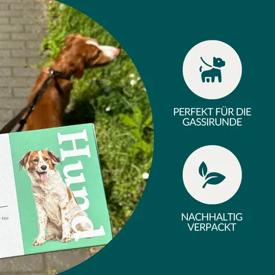 vetevo Wurmtest Hund vetevo Wurmtest Hund