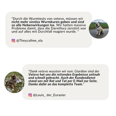 vetevo Wurmtest Hund vetevo Wurmtest Hund