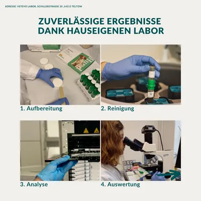 vetevo Wurmtest Hund vetevo Wurmtest Hund