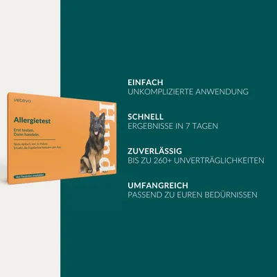 vetevo Allergietest Hund
