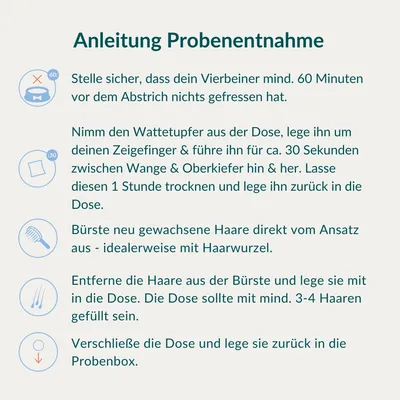 vetevo Allergietest Hund vetevo Allergietest Hund
