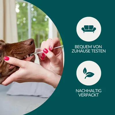 vetevo Allergietest Hund vetevo Allergietest Hund