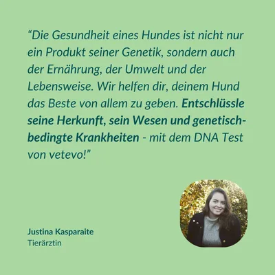 vetevo DNA Test Hund