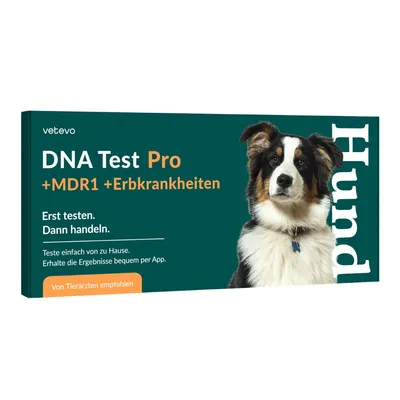 vetevo DNA Test Hund