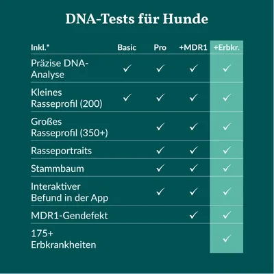 vetevo DNA Test Hund