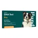vetevo DNA Test Hund