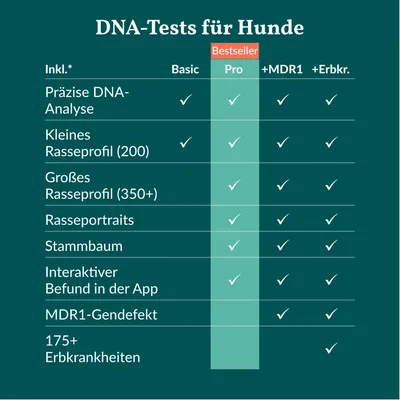 vetevo DNA Test Hund