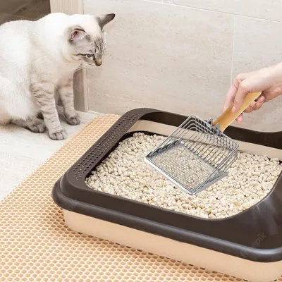 HausPets Pelle Litière Chat Acier Inoxydable Bois