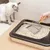 HausPets Pala para arena de gatos de acero inoxidable y madera HausPets Pala para arena de gatos de acero inoxidable y madera