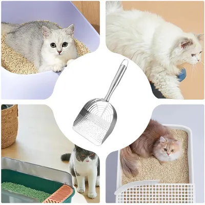 HausPets Pelle Litière Chat Acier Inoxydable Ergonomique HausPets Pelle Litière Chat Acier Inoxydable Ergonomique