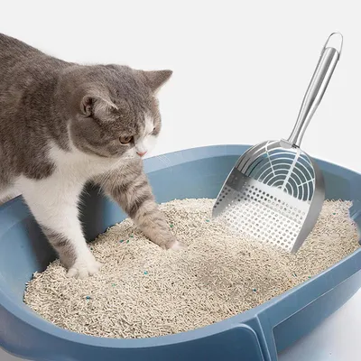 HausPets Pelle Litière Chat Acier Inoxydable Ergonomique HausPets Pelle Litière Chat Acier Inoxydable Ergonomique