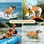 HausPets Hai Rettungsweste Hoher Auftrieb XL Orange
