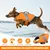 HausPets Hai Rettungsweste Hoher Auftrieb XL Orange
