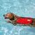 HausPets Rettungsweste Hund Rot Größe L HausPets Rettungsweste Hund Rot Größe L