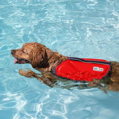 HausPets Rettungsweste Hund Rot Größe L HausPets Rettungsweste Hund Rot Größe L