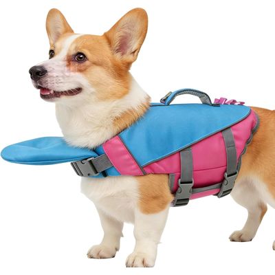 HausPets Gilet Sauvetage Chien Flottant Réfléchissant